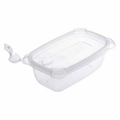 Ebisu Polypropylene Storage Container