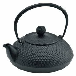 Ikenaga Nambu Cast Iron Tetsubin Kettle Houju