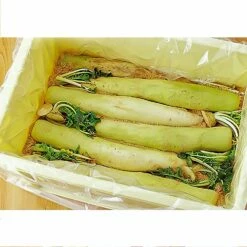 RISU Polypropylene Pickle Storage Container -Global Kitchen Japan Shop RISUPolypropylenePickleStorageContainer171713 4