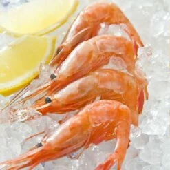 Swan Aluminium Manual Ice Crusher -Global Kitchen Japan Shop SwanAluminiumManualIceCrusher 3 9ea904ae eac4 4524 95ee 346b19edcade