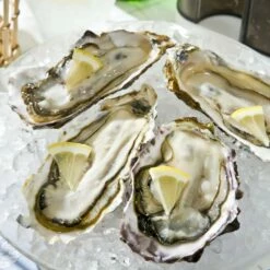 Swan Aluminium Manual Ice Crusher -Global Kitchen Japan Shop SwanAluminiumManualIceCrusher 4 c19e3ab1 364e 4552 94fb f79454a500a4