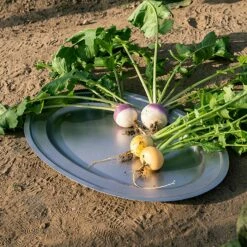 VINTAGE INOX Stainless Steel Oval Plate -Global Kitchen Japan Shop VINTAGEINOXStainlessSteelOvalPlate65521 5