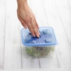 Ziploc® Polypropylene Square Storage Container 10 Pcs -Global Kitchen Japan Shop Ziploc PolypropyleneSquareStorageContainer10pcs112092 4 b5f61d32 73c3 4ee7 9d6d 1d117e170c8a