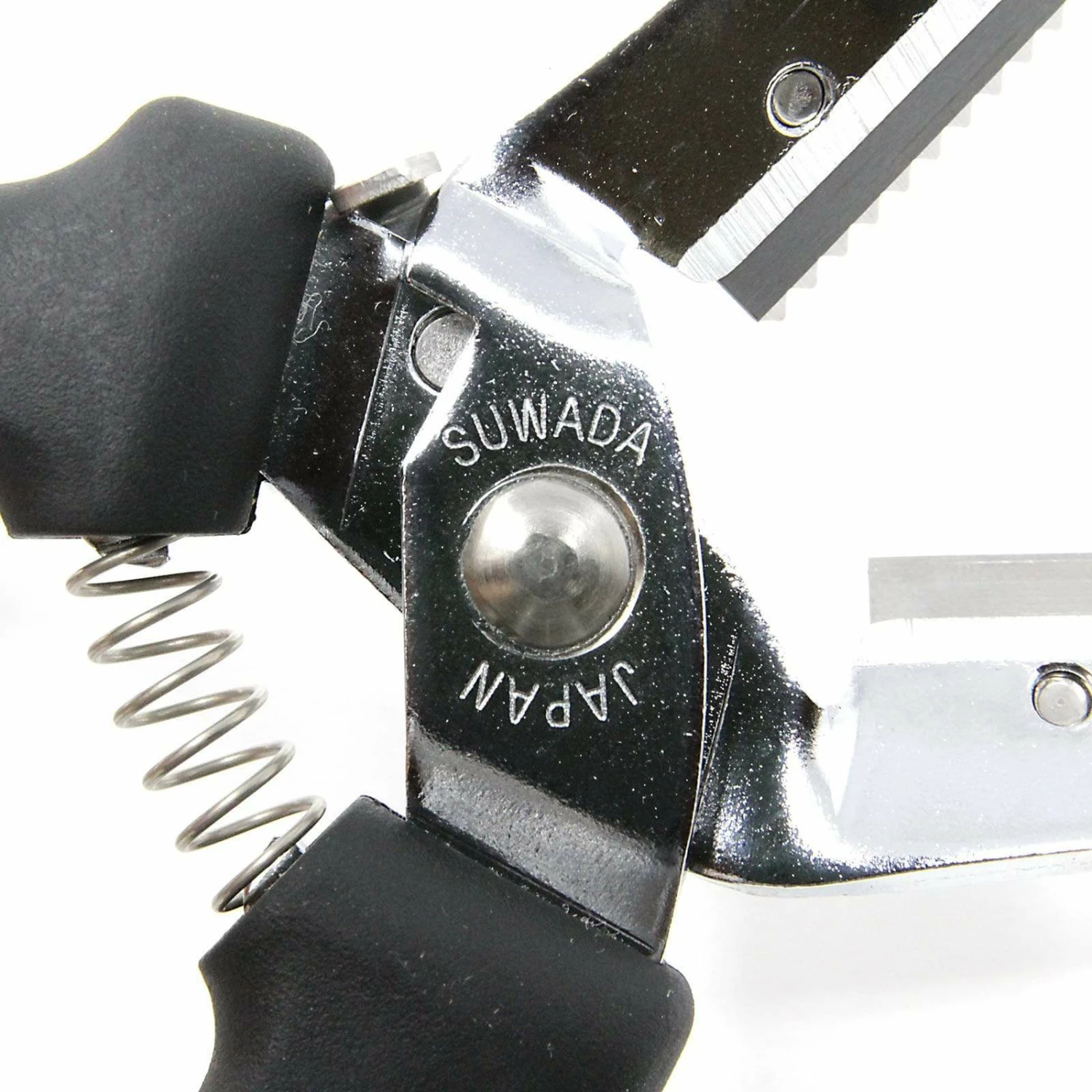 Suwada Chestnut Peeler With Replaceable Blade 5 Suwada Chestnut Peeler With Replaceable Blade - Image 5